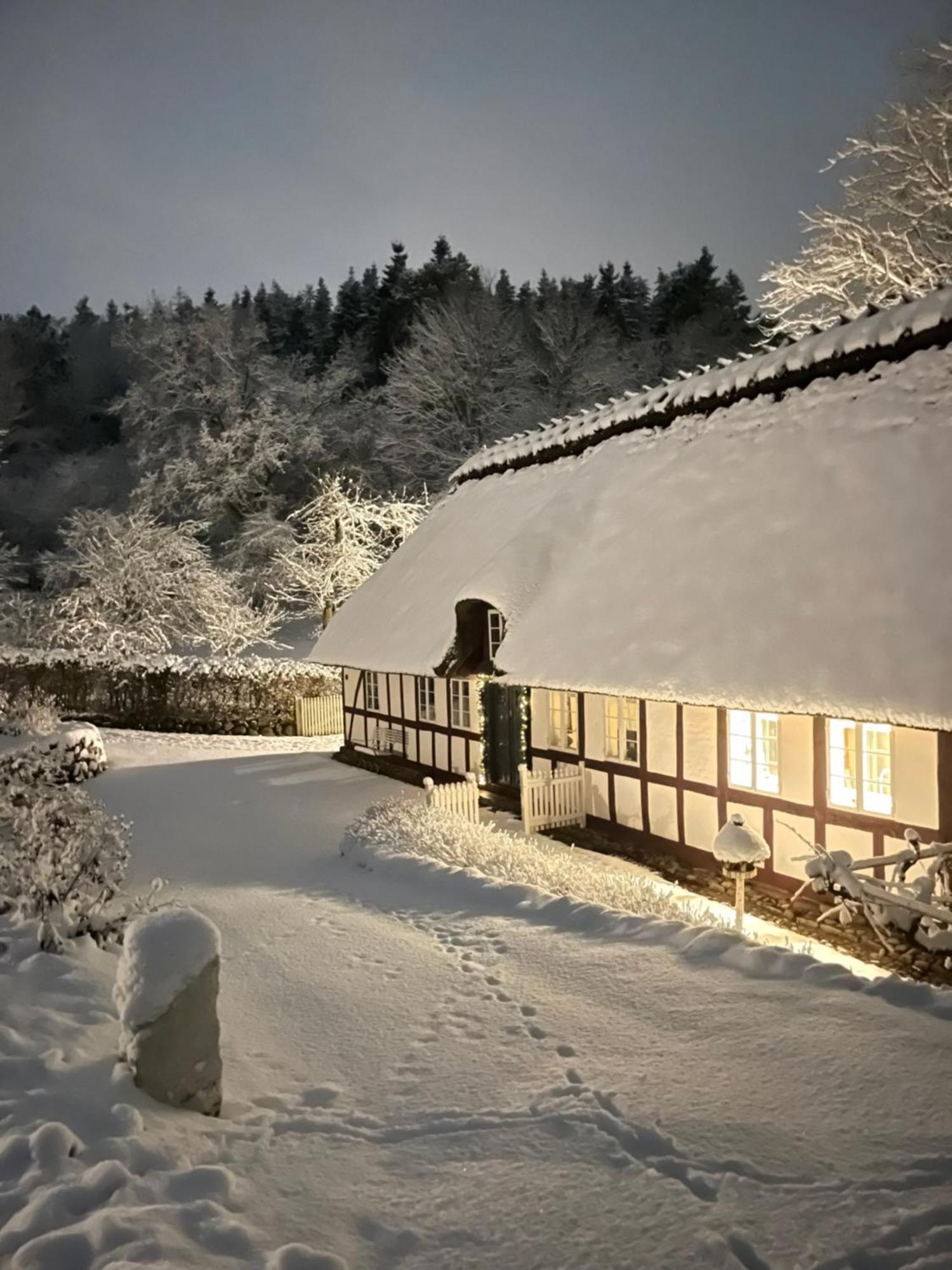 Lillemollens Bed & Breakfast Orbaek  外观 照片