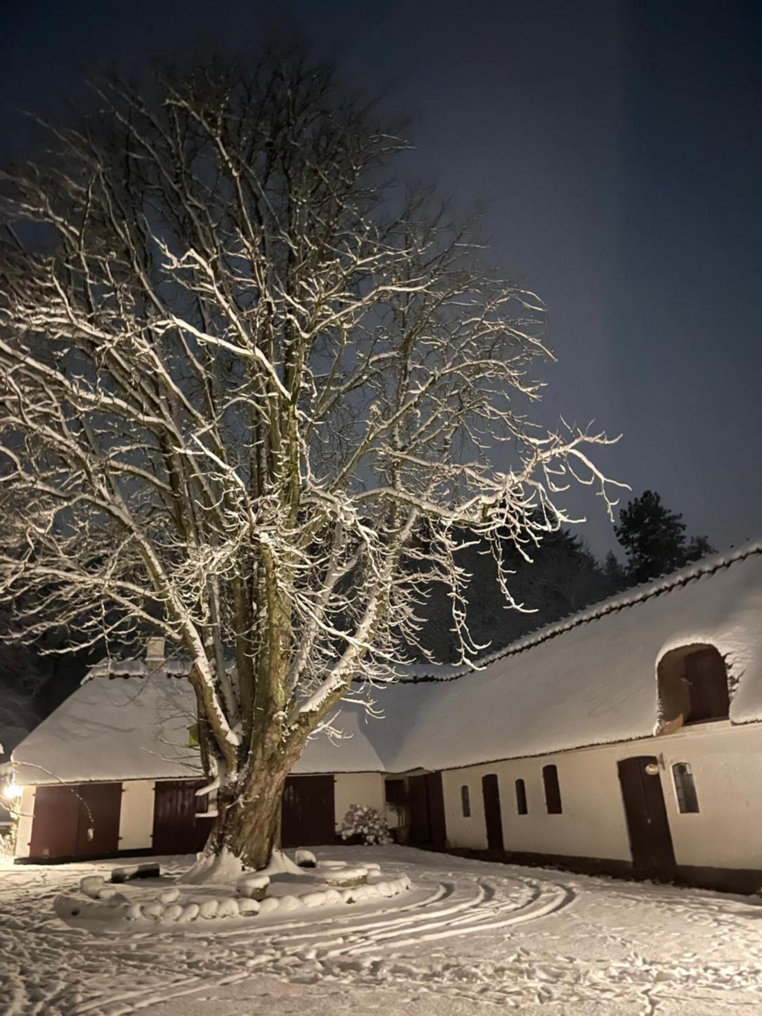 Lillemollens Bed & Breakfast Orbaek  外观 照片